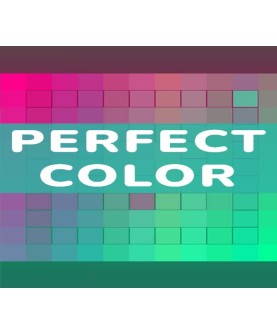Perfect Color Steam Key GLOBAL